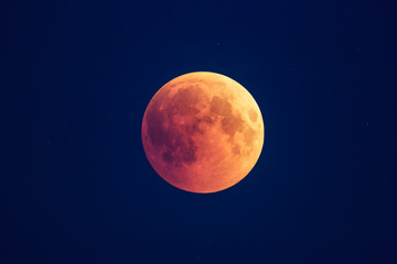Wall Mural - super bloody moon, beginning of full eclipse phase against blue starry sky background