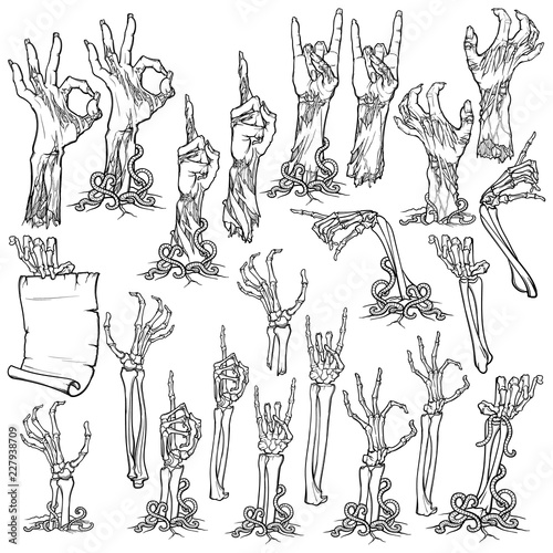 Zombie Body Language Set Of Lifelike Rotting Zombie Hands And Skeleton Hands Rising From Under The Ground And Torn Apart Linear Drawing Isolated On White Background Eps10 Vector Illustration Buy This