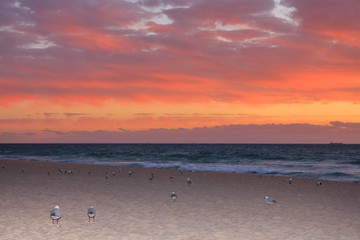 Sticker - Scarborough Beach, Australia