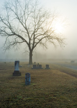 Cemetery In Fog