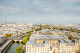 Fototapeta Sypialnia - Aerial panoramic view of Paris from the Notre-Dame cathedral during the morning light in France