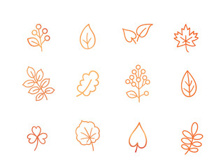 Wall Mural - Autumn icon set. Fall leaves and berries. Nature symbol line art collection isolated on white background.