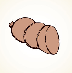 Canvas Print - Sausage. Vector drawing