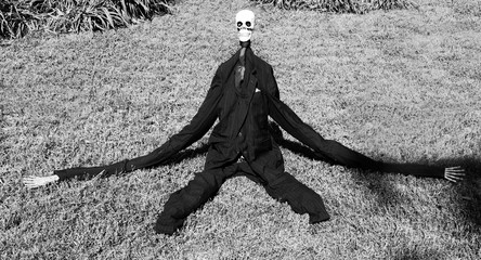 Bizarre elongated Halloween creature on lawn.