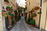Fototapeta  - Floral streets of Spello in Umbria, Italy.