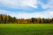 Gorgeous Autumn Colorful Nature Landscape View. Beautiful Nature Backgrounds. Green Yellow Trees And Grass Field On Blue Sky Background.