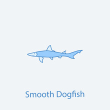 Smooth Dogfish 2 Colored Line Icon. Simple Light And Dark Blue Element Illustration. Smooth Dogfish Concept Outline Symbol Design From Fish Set