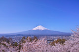 Fototapeta Zachód słońca - 新倉山ハイキングコースから見る満開の桜と富士山
