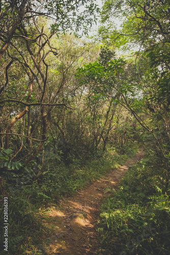 Fotografia  Trilha 5