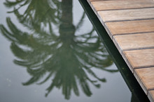A Wooden Deck Floating Over The Water In A Pond With Palm Trees Reflecting In It.