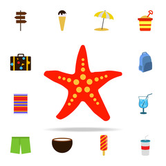 Poster - starlet flat icon. Summer icons universal set for web and mobile