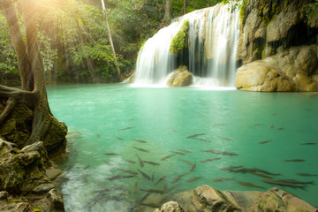 Wall Mural - Water fall in arawan water fall national park kanchanaburi thailand use for natural background, Deep forest