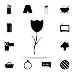 Poster - tulip icon. web icons universal set for web and mobile