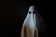 Someone covered with white cloth with big black eyes on black background look like ghost in night. Concept for funny playing in halloween festival