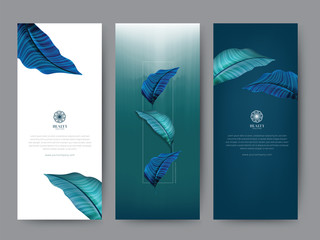 branding packaging tropical plant leaf summer pattern background, for spa resort luxury hotel, logo 