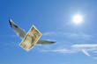 空を飛ぶ紙幣

