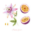 © zenina - Watercolor passion fruit set
