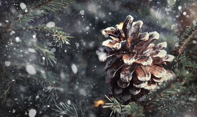 Christmas or New Year blurred snow background with festive fir tree and pine cones, selective focus