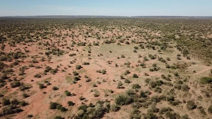 Wall Mural - African wilderness landscape. Aerial footage uninhabited savannah 