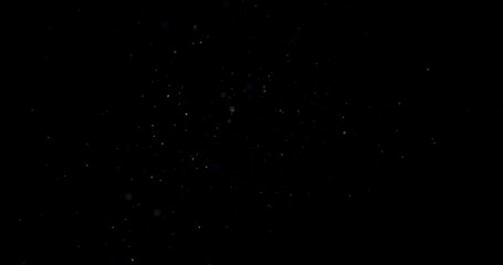 Wall Mural - Flying dust particles on a black background