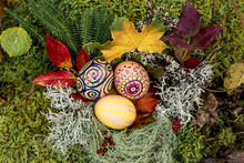 Three Colorful Decorated Easter Eggs In Moss Lichen Nest With Autumn Leaves And Red Berries In Forest Outdoors Autumn. Alternative Easter Decoration Idea.