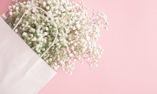 Small White Flowers On Pastel Pink Background. Happy Women's Day, Wedding, Mother's Day, Easter, Valentine's Day. Flat Lay, Top View, Copy Space 