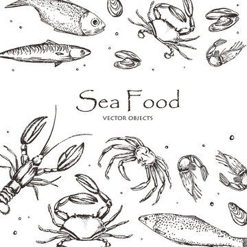 Vector illustration. Sea food : sea fish, crab, shrimps and mussels . Chalk style vector objects. Objects are under clipping mask.
