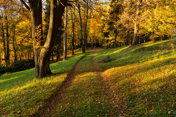  Autumn, Fall scene. Beautiful Autumnal park with pathway. Beauty nature scene.