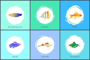 Wall Mural - Gold Fish and Blue Tamarin Set Vector Illustration