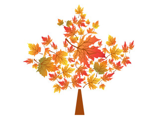 Wall Mural - autumn maple leaves symbol