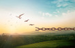 Freedom concept: Silhouette of bird flying and broken chains at autumn mountain sunset background