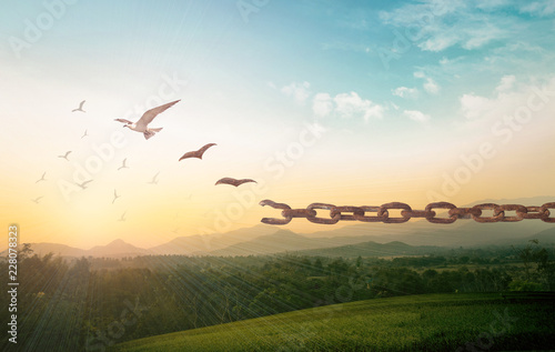 Fotomural Freedom concept: Silhouette of bird flying and broken chains at autumn mountain