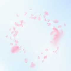 Wall Mural - Sakura petals falling down. Romantic pink flowers vignette. Flying petals on blue sky square backgro