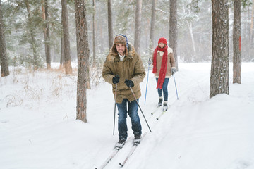 Wall Mural - Full length portrait of modern active couple enjoying skiing in beautiful  winter forest, copy space