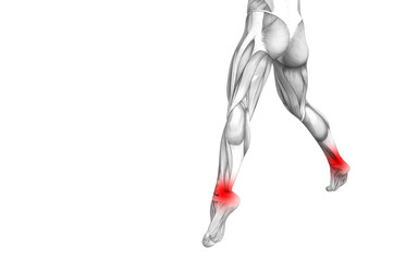 Conceptual ankle human anatomy with red hot spot inflammation or articular joint pain for leg health care therapy or sport muscle concepts. 3D illustration man arthritis or bone osteoporosis disease