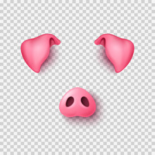Realistic 3d Pig Nose And Ears