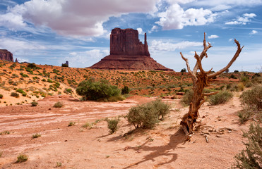 Wall Mural - monument valley. navajo tribal park, usa.