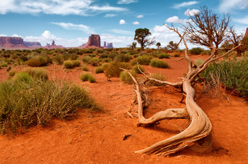 Wall Mural - monument valley. navajo tribal park, usa.