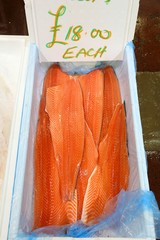 Sticker - Salmon price