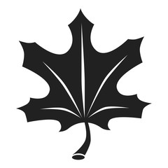 Poster - Autumn leaf icon. Simple illustration of autumn leaf vector icon for web design isolated on white background