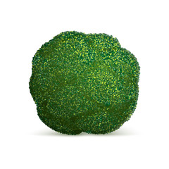 Poster - Broccoli cabbage icon. Realistic illustration of broccoli cabbage vector icon for web design