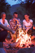 © .shock - young friends relaxing around campfire