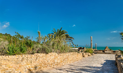 Sticker - Ruins of the Baths of Antoninus in Carthage, Tunisia.