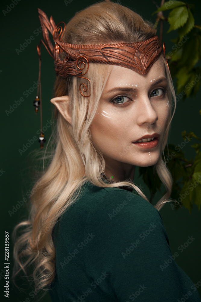 Stylish picture of a beautiful young girl elf Stock Photo | Adobe Stock