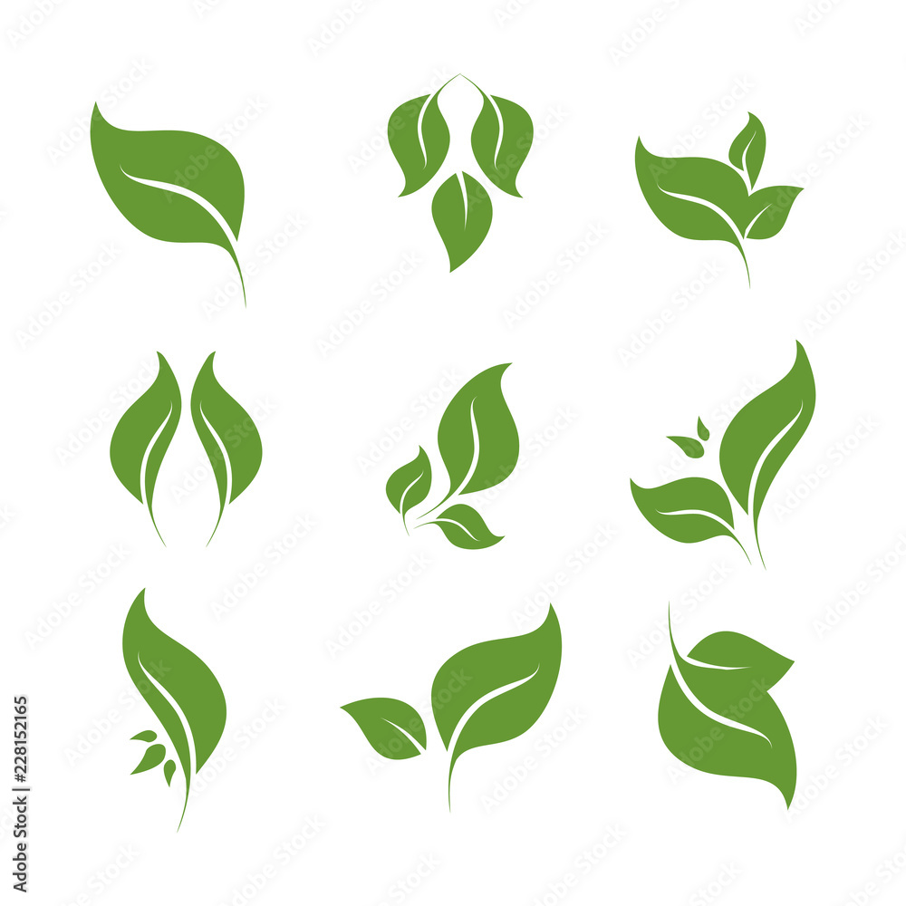 Leaves icon vector set isolated on white background. Various shapes of green leaves of trees and plants. Elements for eco and bio logos. - obrazy, fototapety, plakaty 
