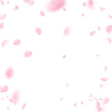 Fototapeta Kwiaty - Sakura petals falling down. Romantic pink flowers 