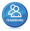 © FR Design - Teamwork (group icon) midnight blue prime round button