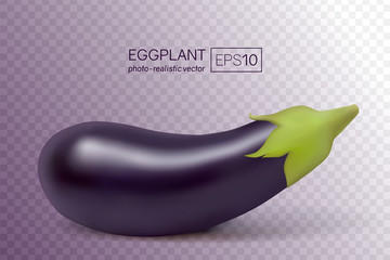 Vector photo-realistic fresh aubergine on a transparent background. 3D eggplant illustration. This aubergine can be placed on any background.