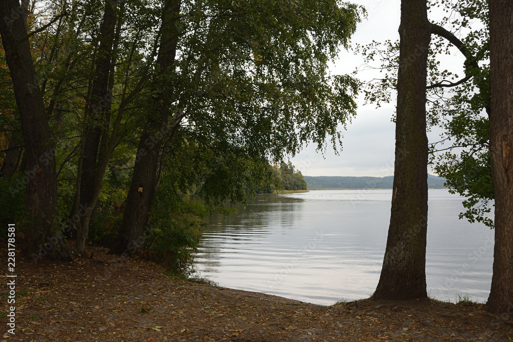Obraz na płótnie Brehynsky rybnik pond with trees in czech Machuv kraj region on 28th September 2018 w salonie