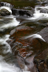 Wall Mural - Stream and rocks